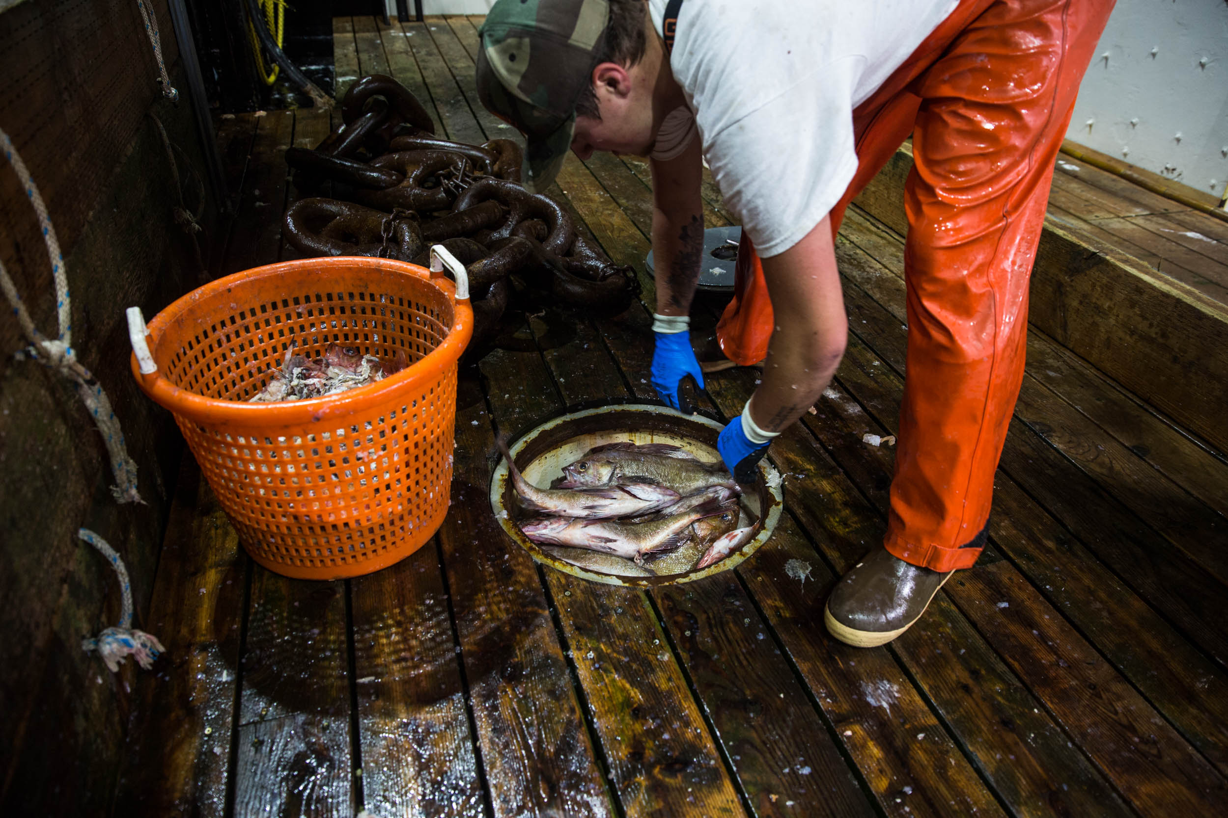 Newport, Oregon, USA - West Coast
Groundfish Fishery