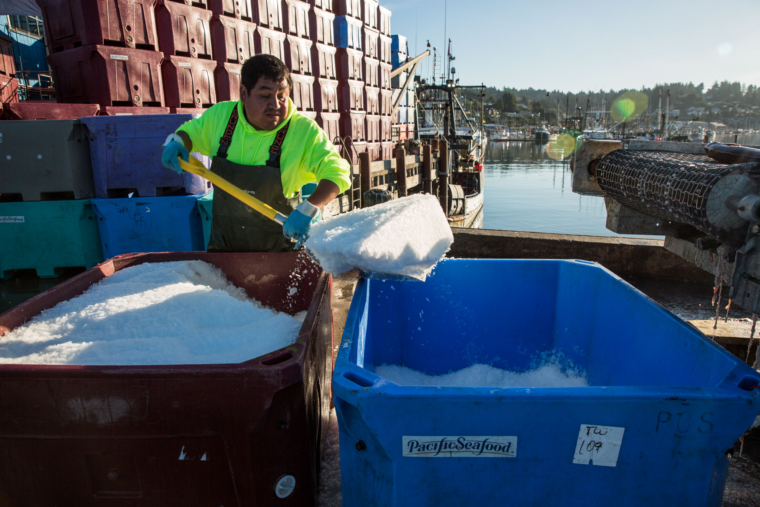 Newport, Oregon, USA - West Coast
Groundfish Fishery
